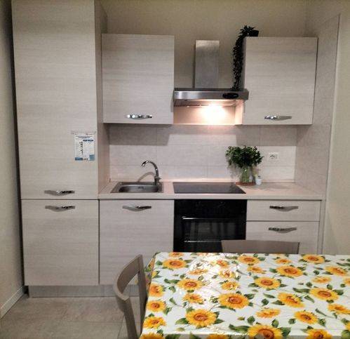 Appartamento a Fidenza in Piazza Pontida 8 /A - Foto 4