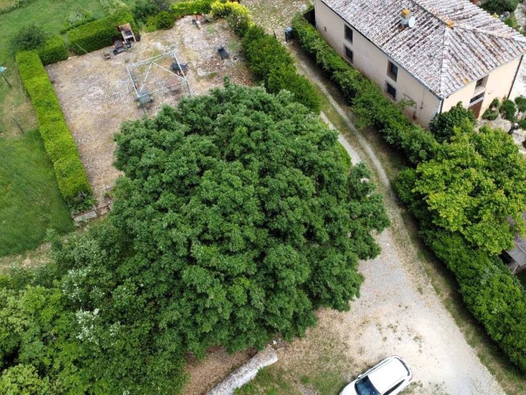 Casa indipendente a Siena in Str. di Lecceto, - Foto 2