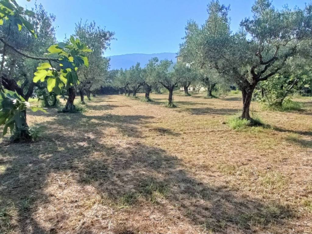 Terreno a Lamezia terme in Via degli Enotri - Foto 2