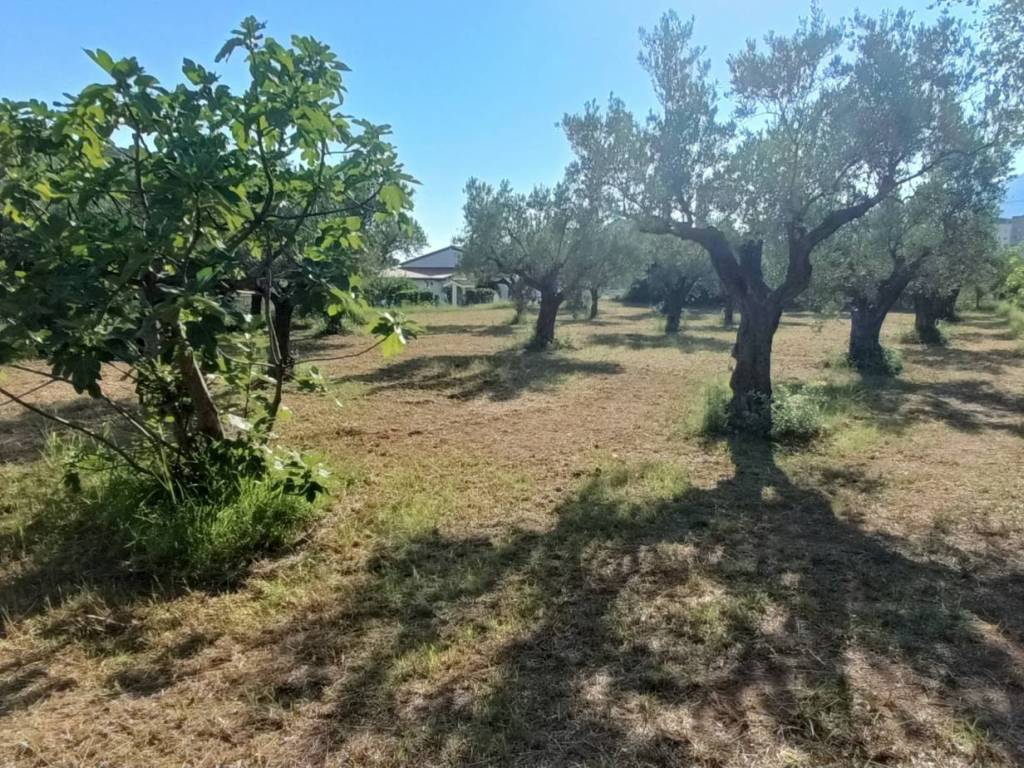 Terreno a Lamezia terme in Via degli Enotri - Foto 3