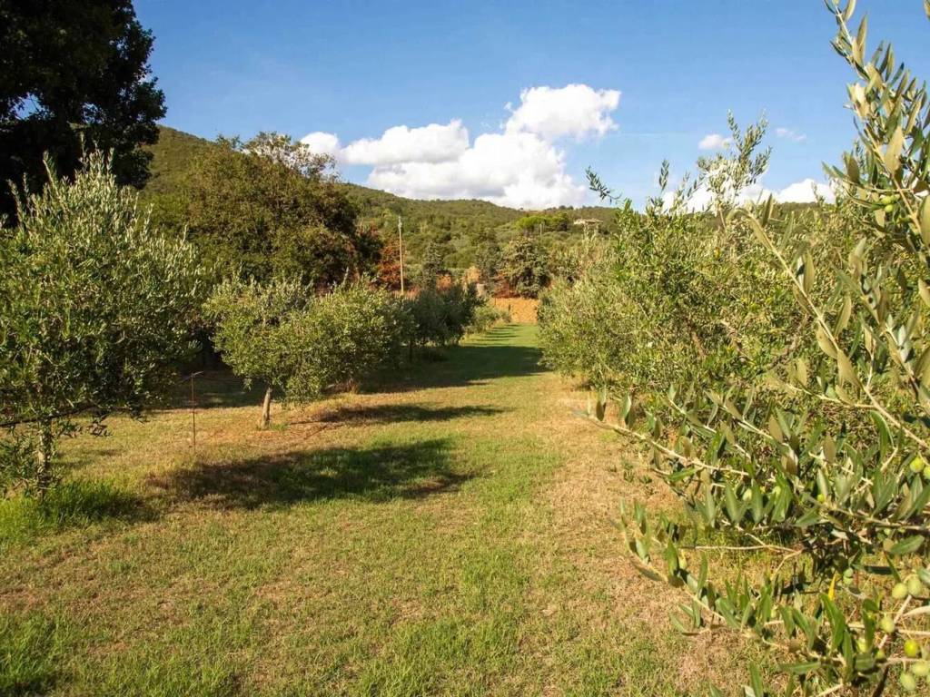 Rustico / casale a Passignano sul trasimeno - Foto 4