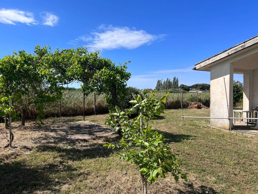 Villa a Tarquinia in Località Carcarello - Foto 5
