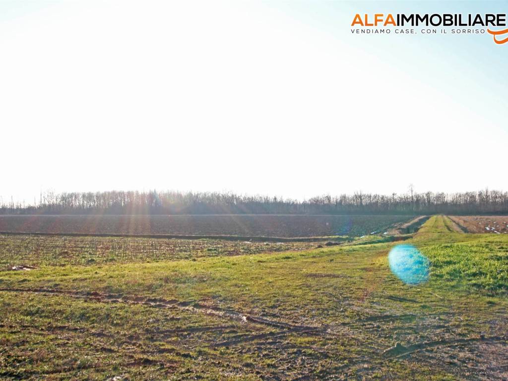 Terreno a Novara in Via Fratelli Berto, 17 - Foto 4