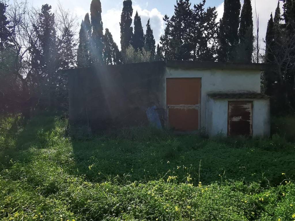 Terreno a Girasole in Strada Statale Orientale Sarda - Foto 3