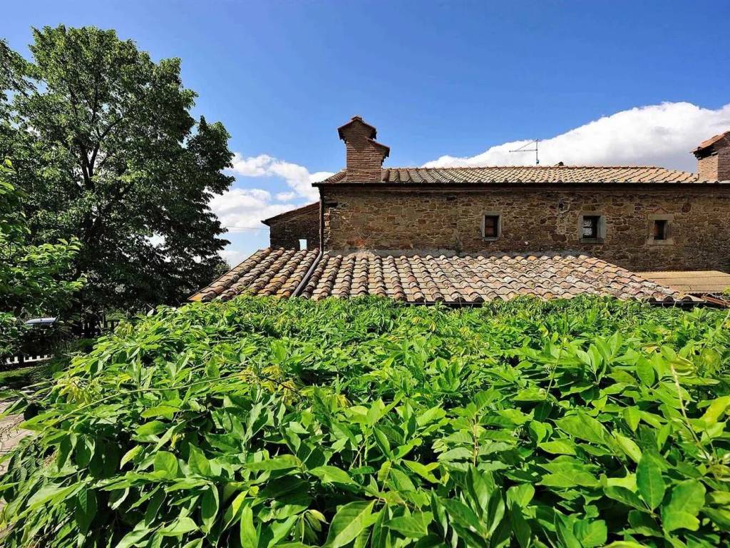 Rustico / casale a Cortona - Foto 5