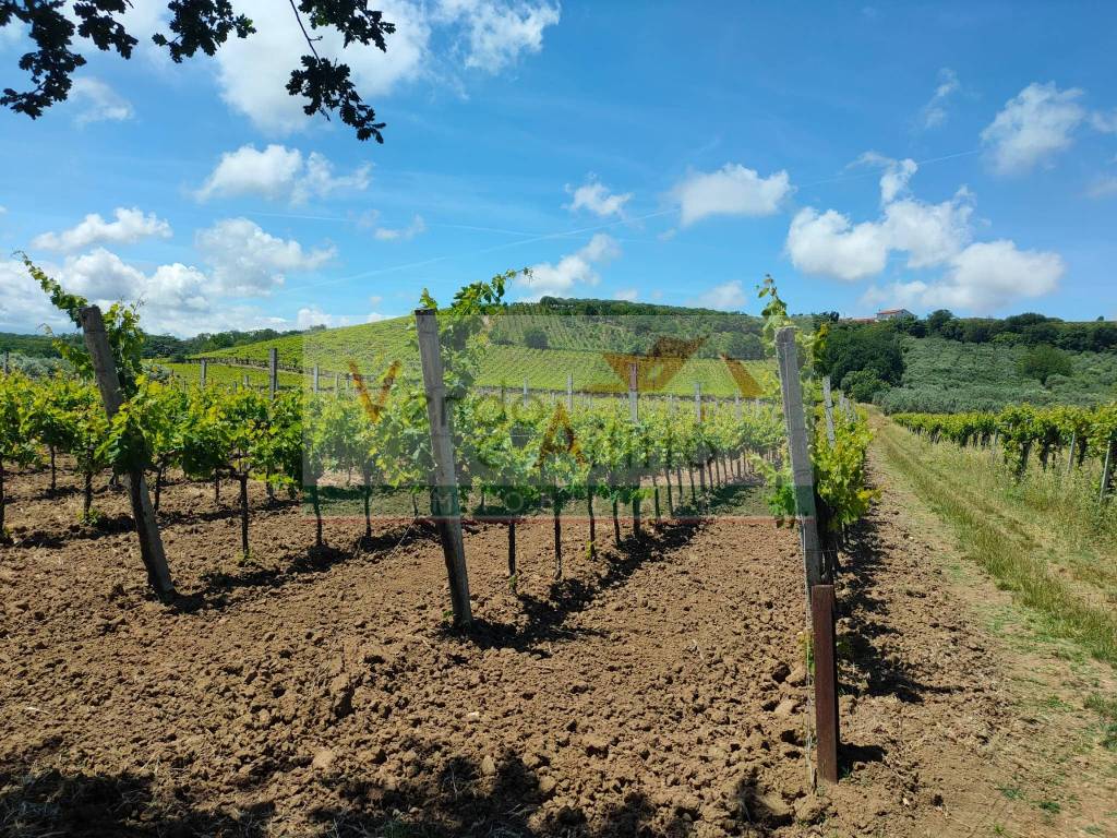 Terreno a Casalbordino - Foto 2