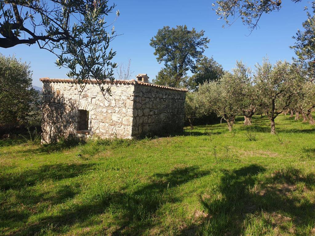 Terreno a Sant'agata de' goti in Via Tora Mazzoni - Foto 2