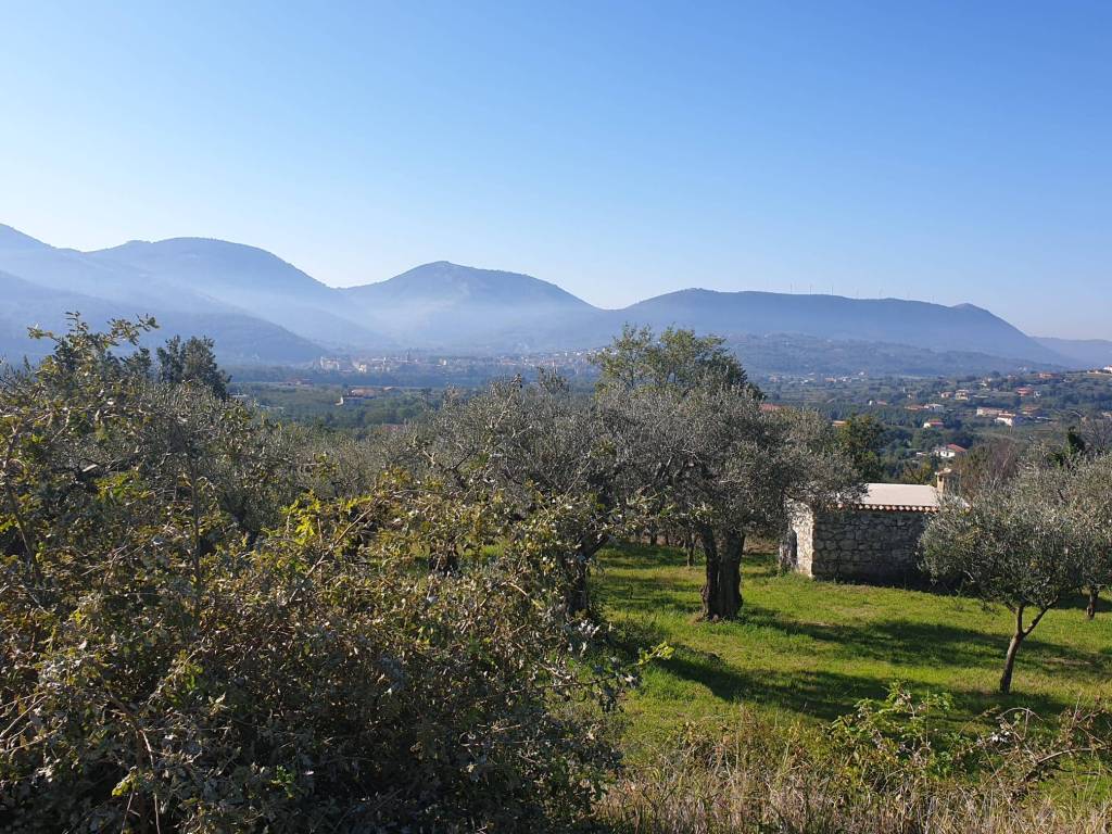 Terreno a Sant'agata de' goti in Via Tora Mazzoni - Foto 3