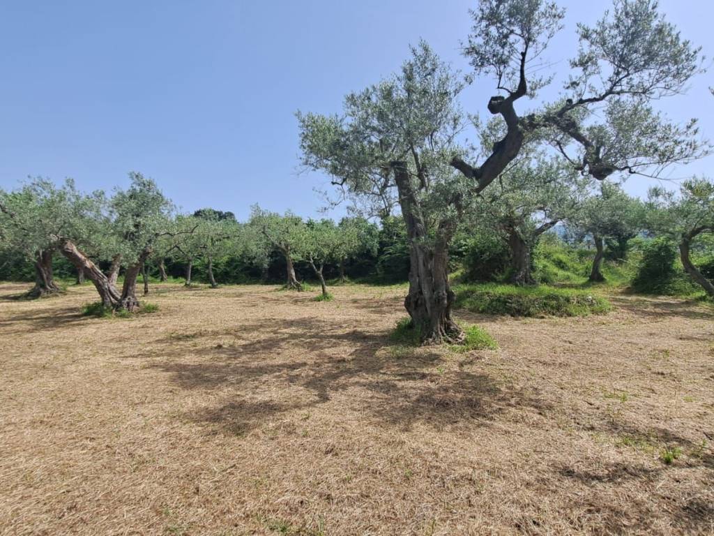 Terreno a Sant'agata de' goti in Via Tora Mazzoni - Foto 4