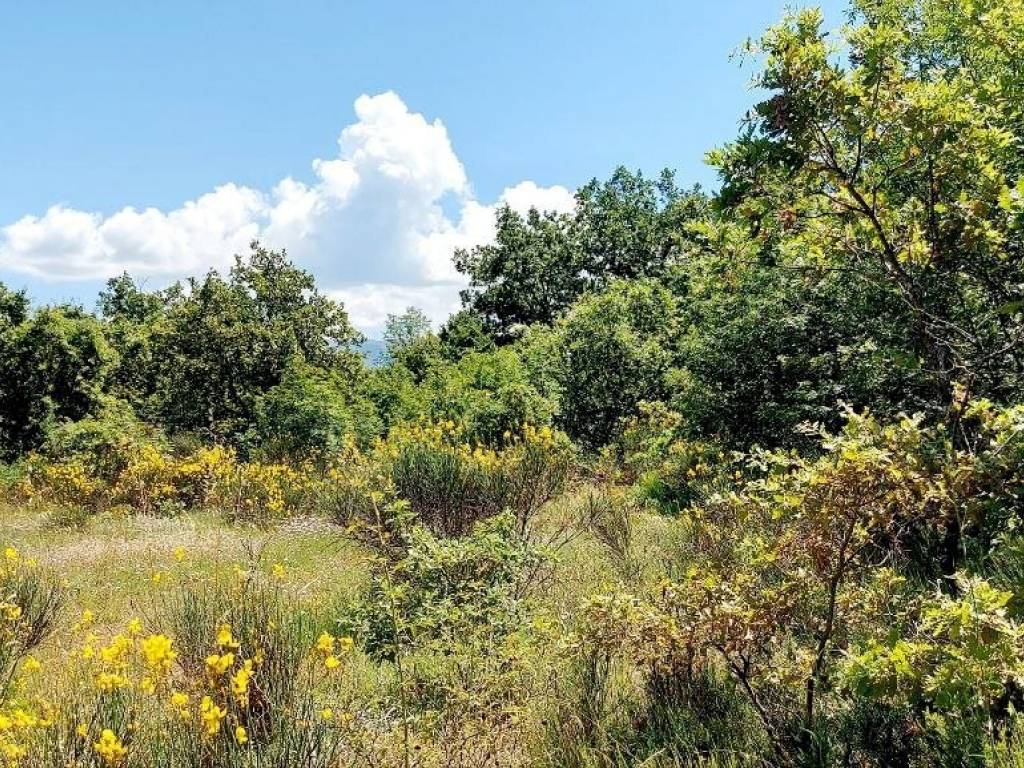 Terreno a Isernia in C.da Colle Palumbo - Foto 3