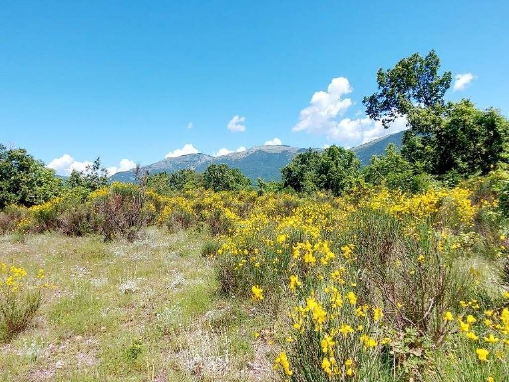 Terreno a Isernia in C.da Colle Palumbo - Foto 4