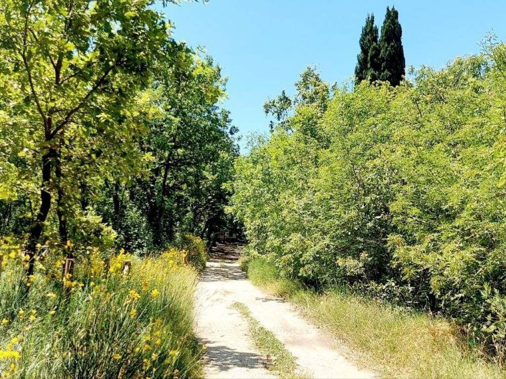Terreno a Isernia in C.da Colle Palumbo - Foto 5