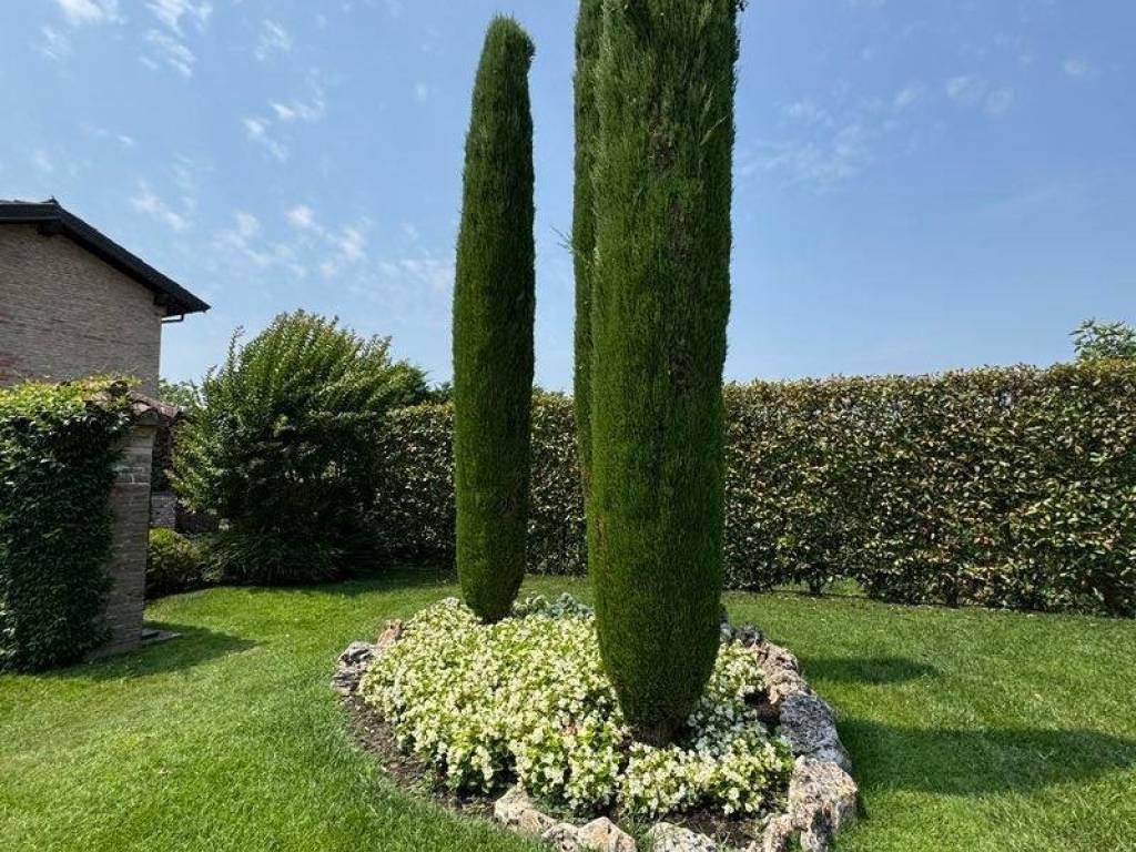 Rustico / casale a Piacenza - Foto 3
