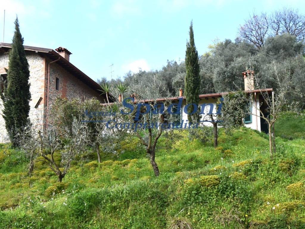 Villa a Massa e cozzile in Via Provinciale Colligiana - Foto 2