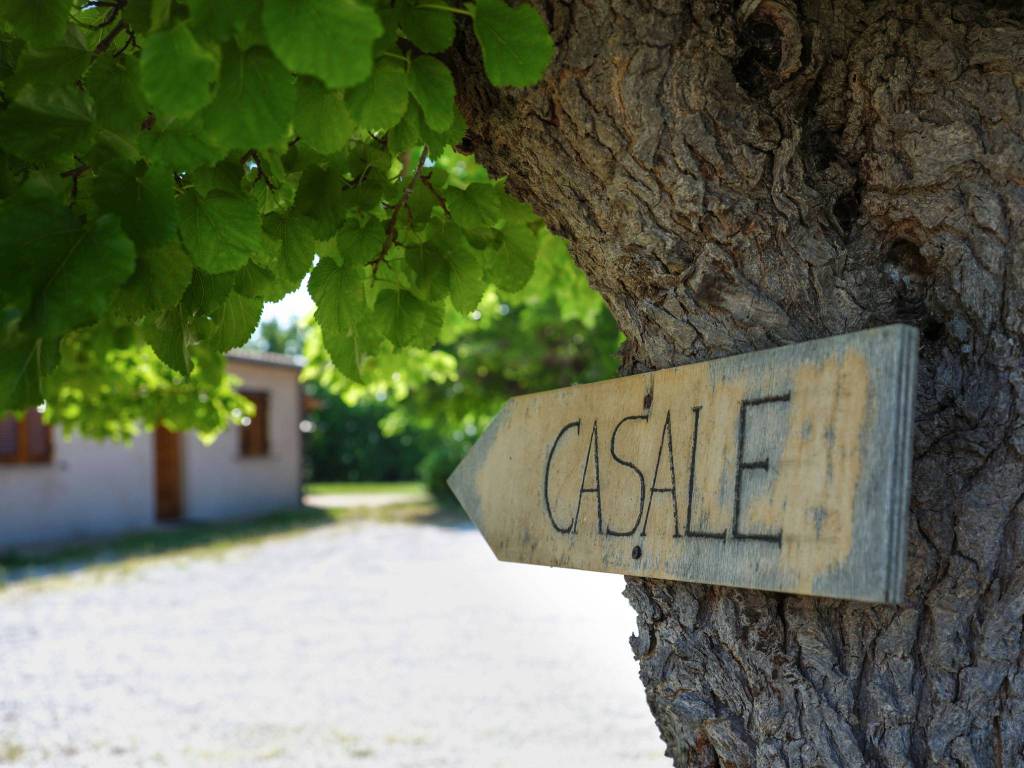 Rustico / casale a Cartoceto - Foto 3