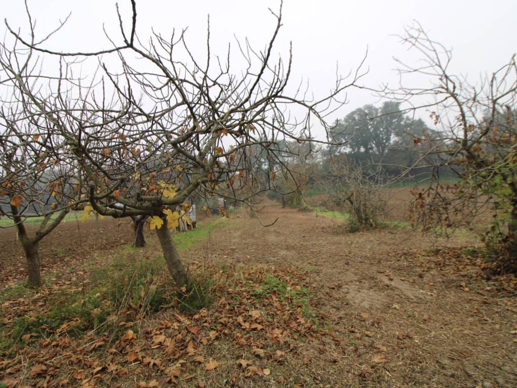 Appartamento a Jesi - Foto 4