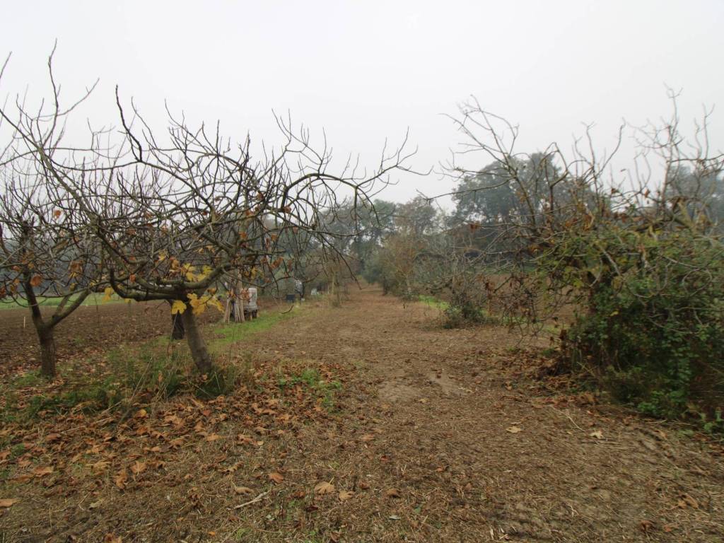 Appartamento a Jesi - Foto 5