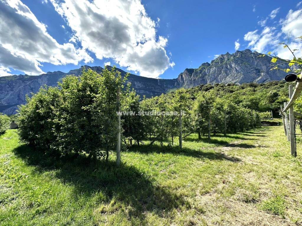 Terreno a Dro in Pietramurata - Foto 2