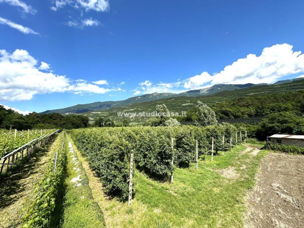 Terreno a Dro in Pietramurata - Foto 3
