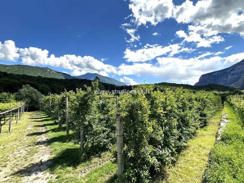 Terreno a Dro in Pietramurata - Foto 4