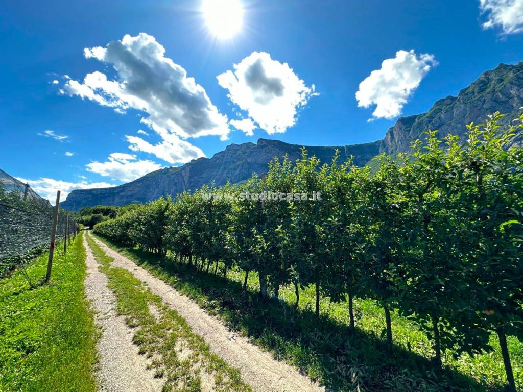 Terreno a Dro in Pietramurata - Foto 2
