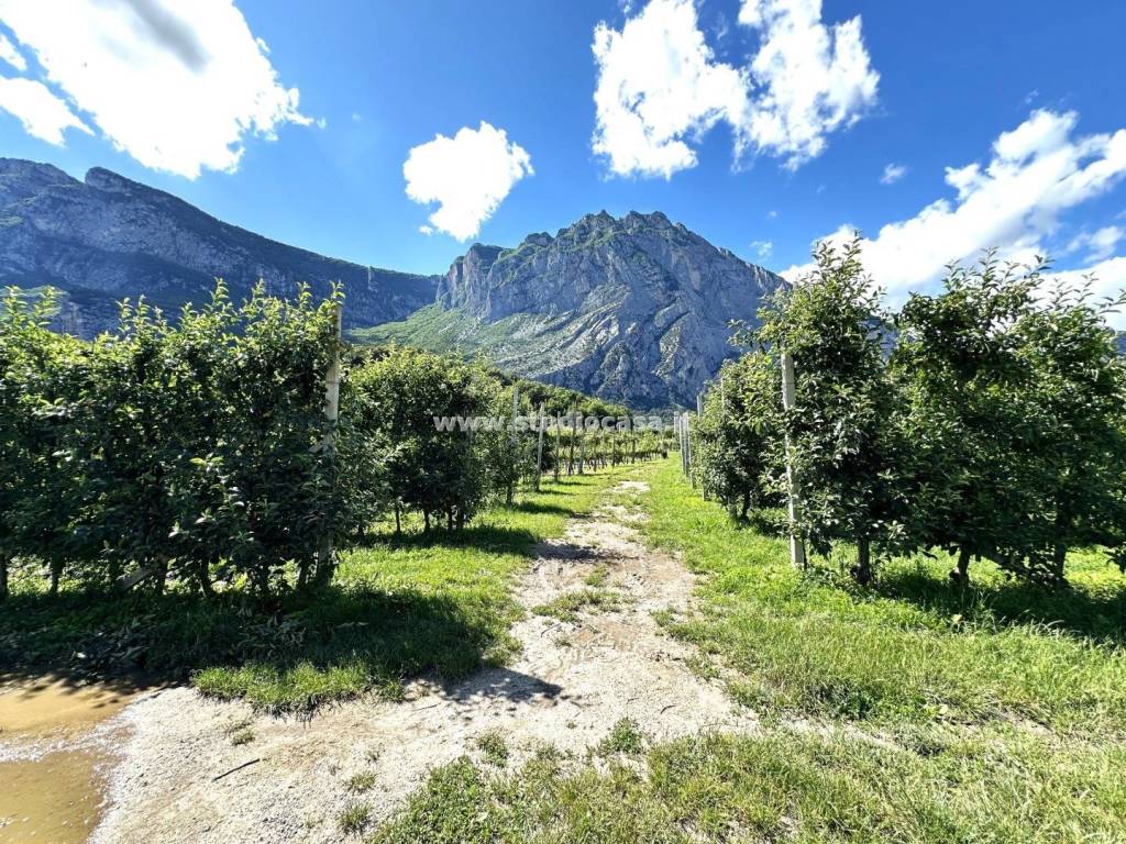 Terreno a Dro in Pietramurata - Foto 3
