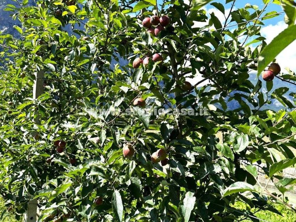 Terreno a Dro in Pietramurata - Foto 4