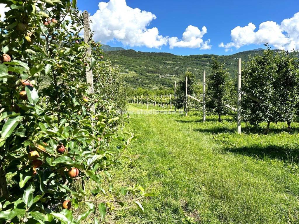 Terreno a Dro in Pietramurata - Foto 5