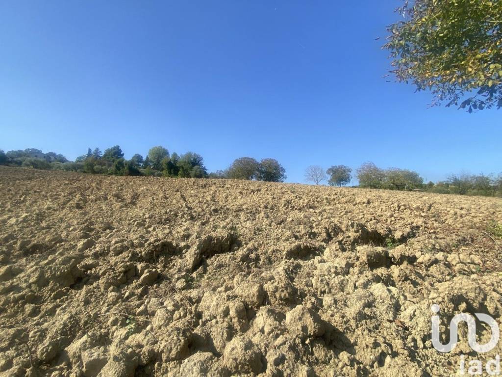 Rustico / casale a Castel di lama in Strada LA MEZZINA - Foto 5