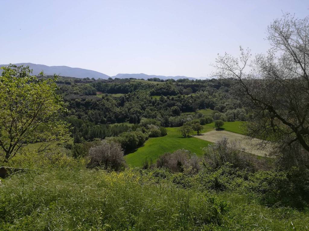 Rustico / casale a Tarano in Villa Brunna - Foto 4