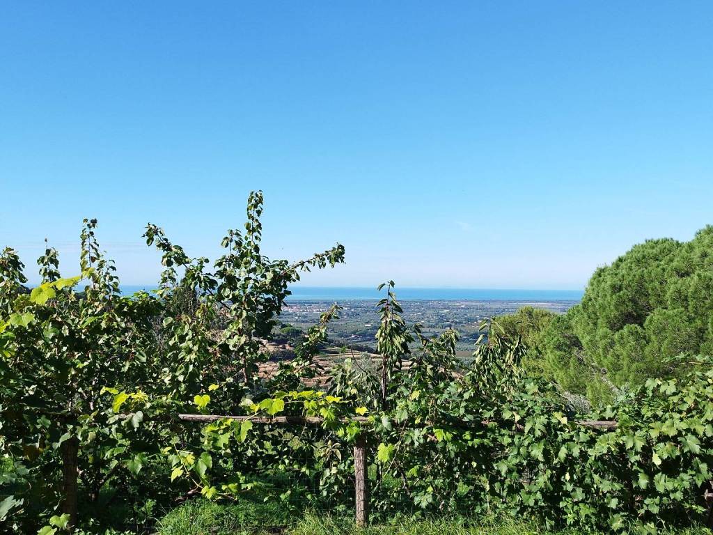 Casa indipendente a Castagneto carducci in Località Segalari - Foto 4