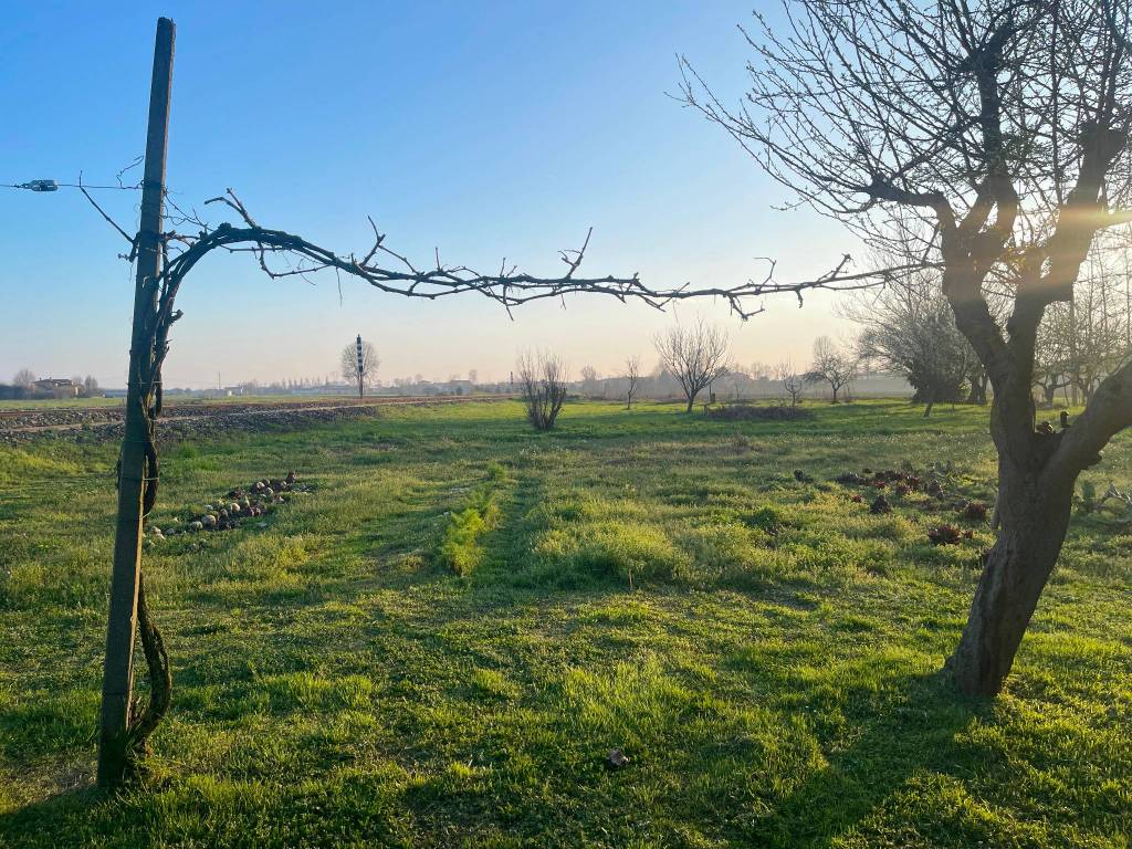 Villa a Camponogara - Foto 3