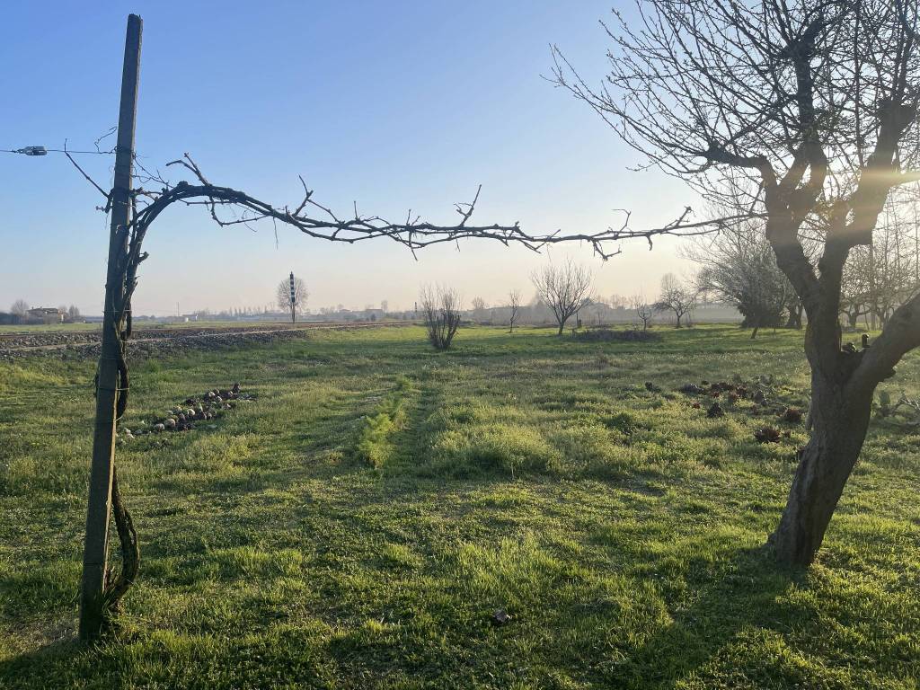 Villa a Camponogara - Foto 4