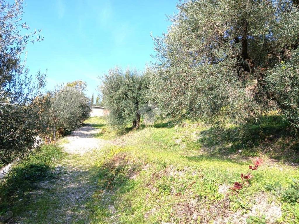 Terreno a Gubbio in Madonna del Ponte - Foto 4
