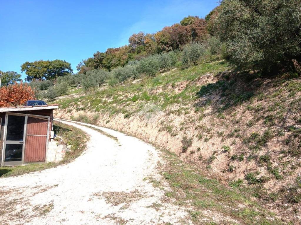 Terreno a Gubbio in Madonna del Ponte - Foto 5