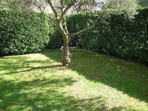 Villa a Forte dei marmi in Via Versilia, 10 - Foto 2
