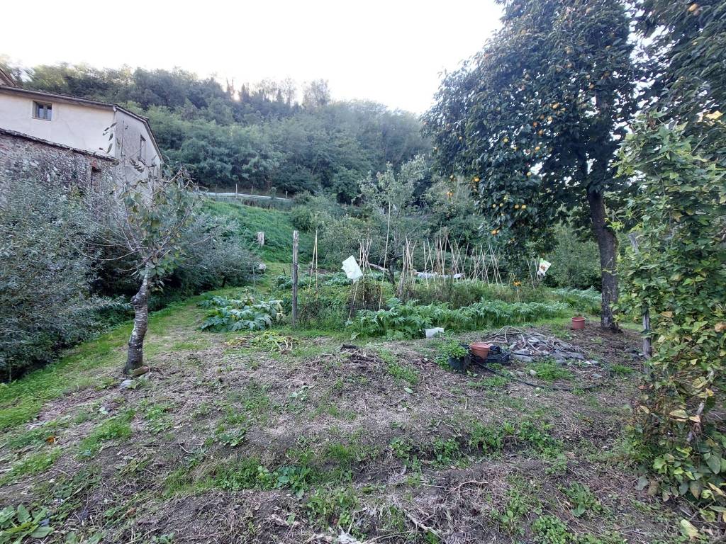 Rustico / casale a Pistoia in Via della Forra Sanguinaria - Foto 5