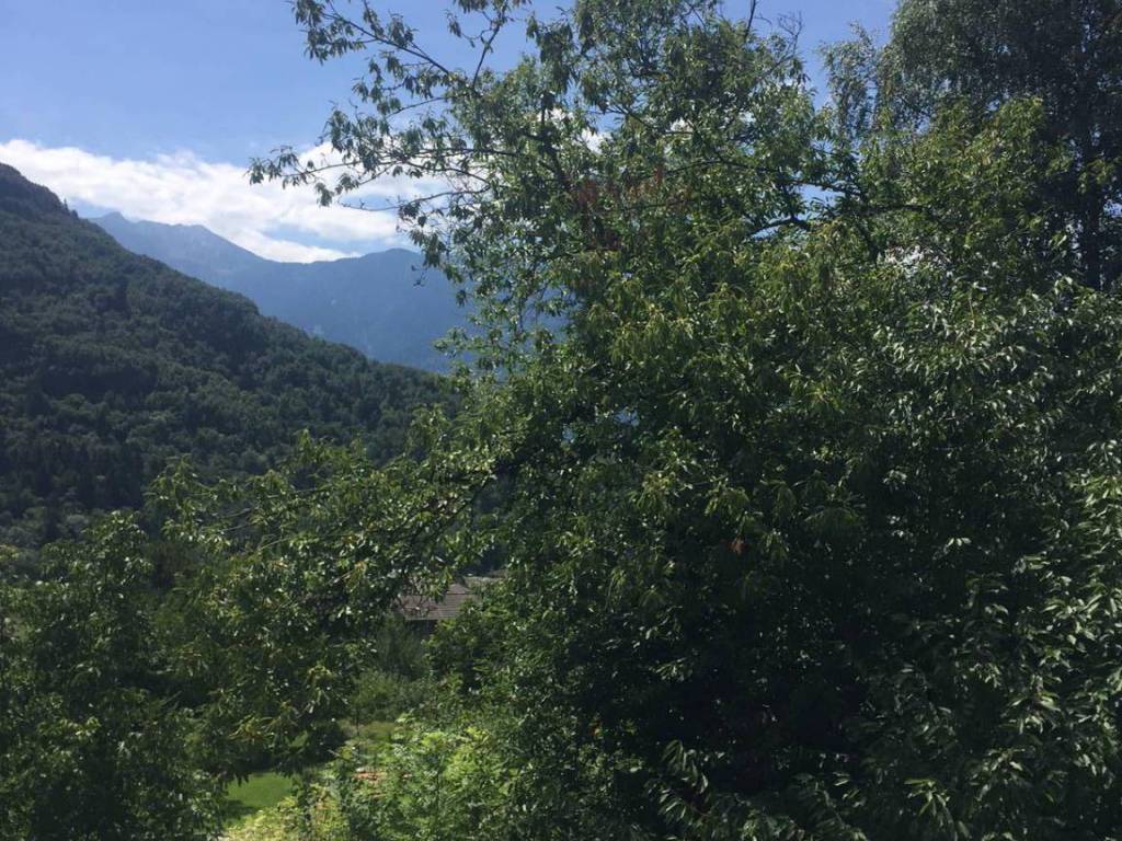 Villa a Dazio in Via Piatana, 14 - Foto 4