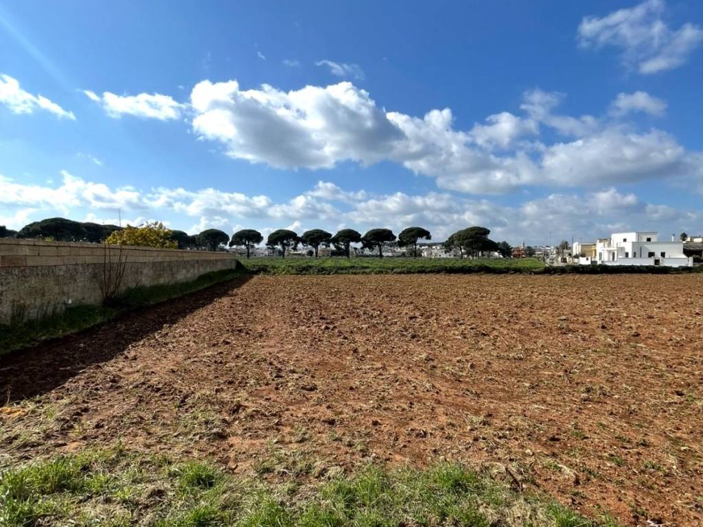 Terreno a Miggiano in Via Sandro Pertini - Foto 4