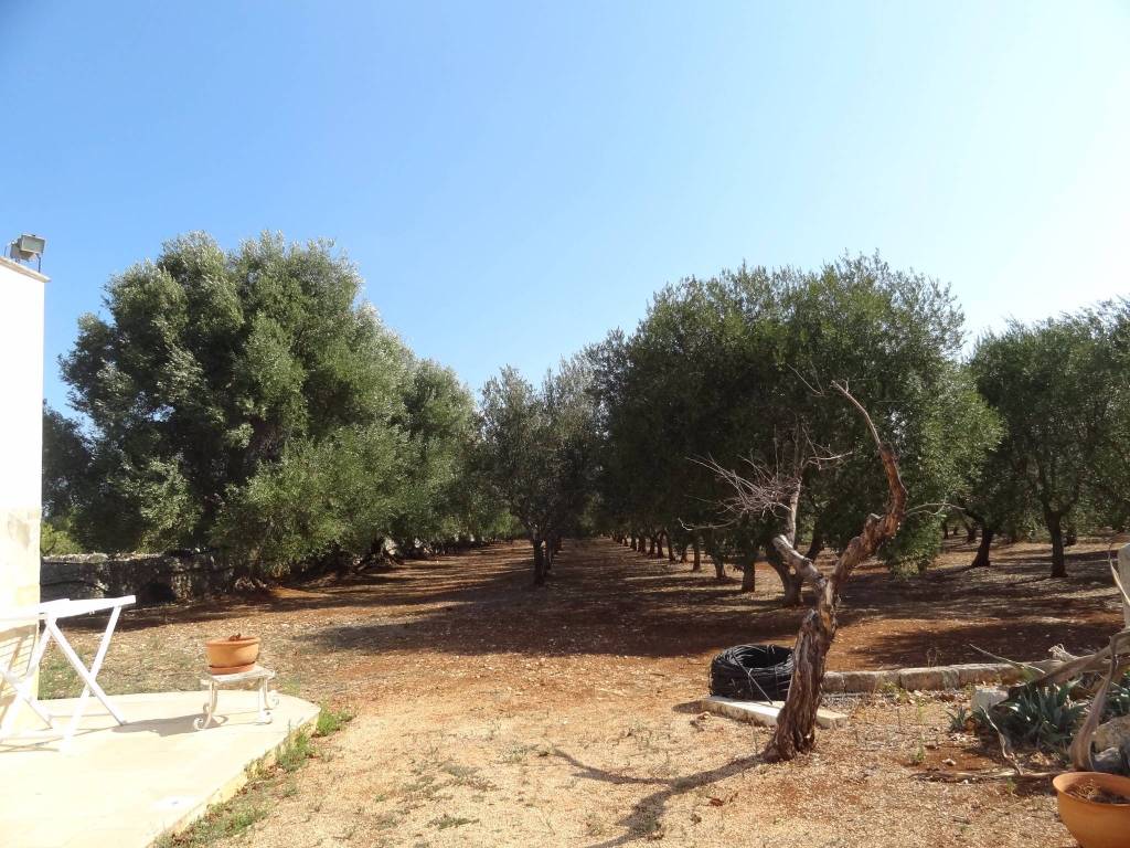 Rustico / casale a Ostuni in Contrada San Benedetto - Foto 2