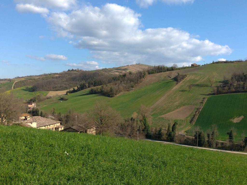 Terreno a Castelvetro di modena in Via Guerro di Qua - Foto 2
