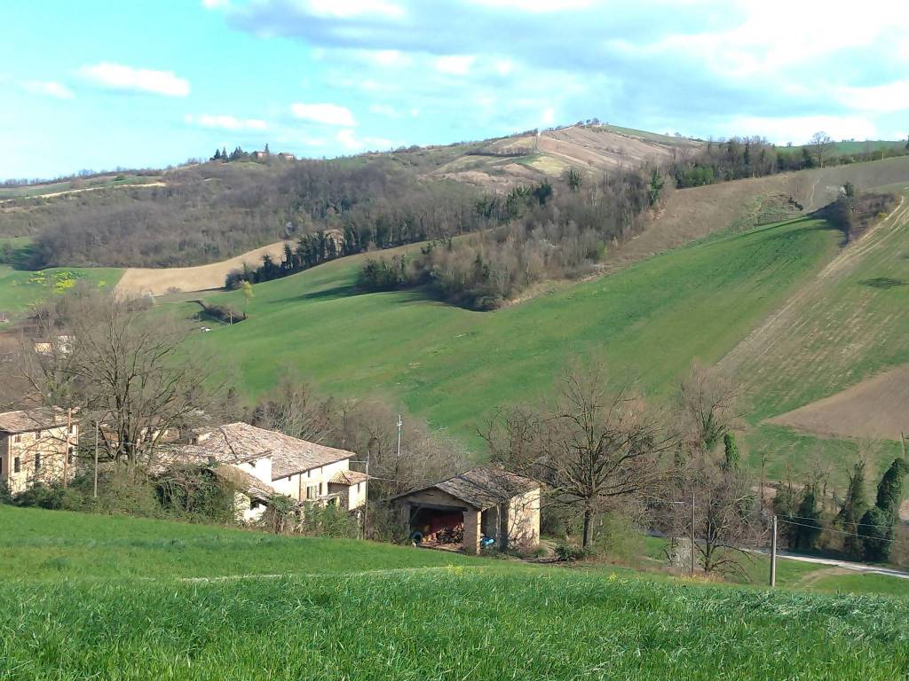 Terreno a Castelvetro di modena in Via Guerro di Qua - Foto 3