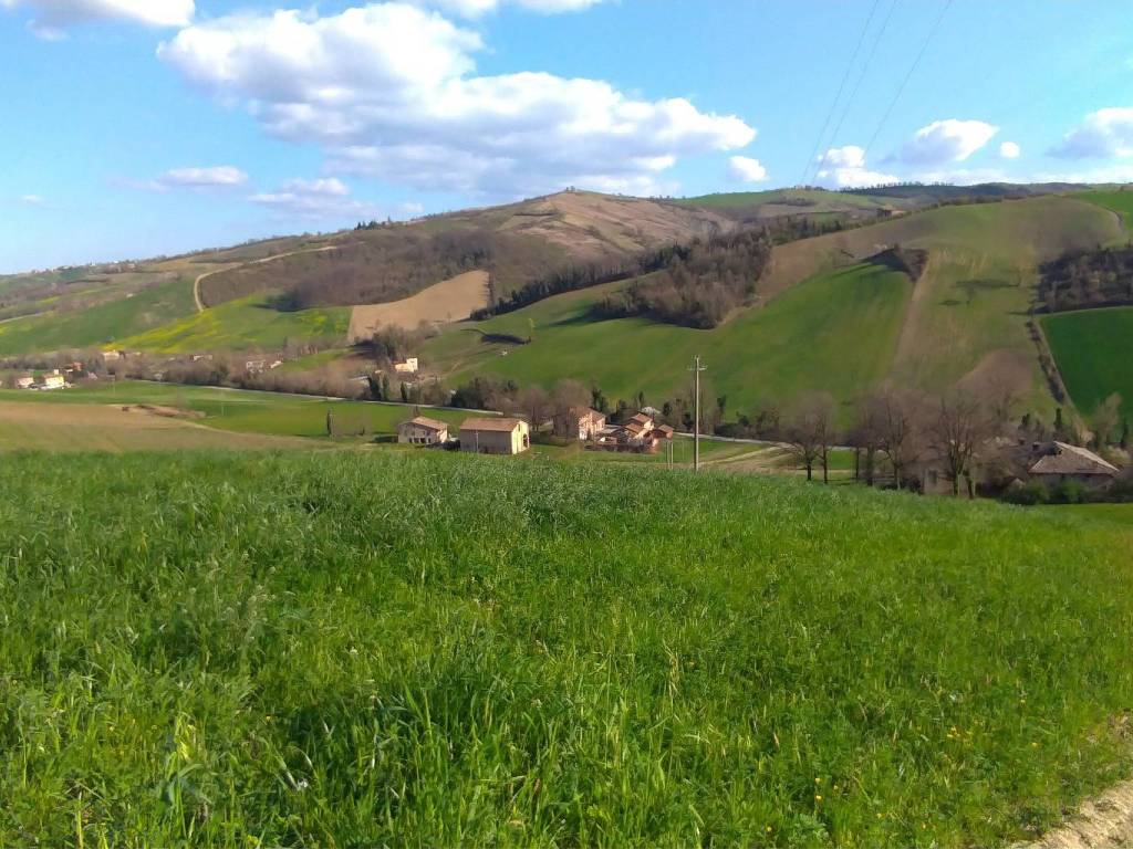Terreno a Castelvetro di modena in Via Guerro di Qua - Foto 4