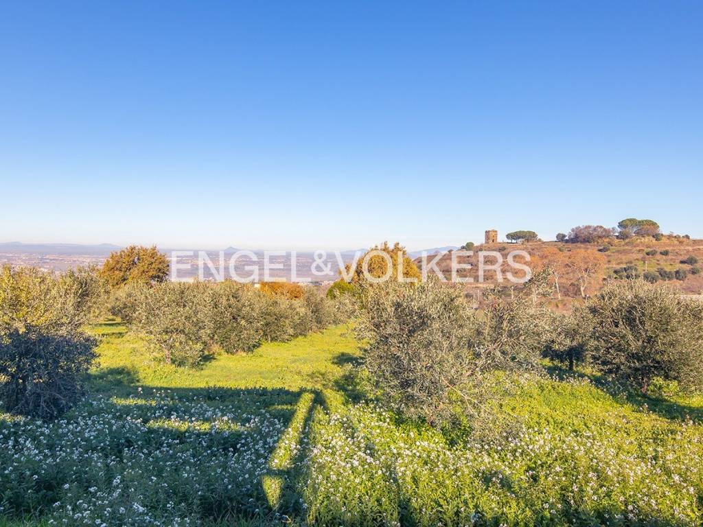 Rustico / casale a Monte compatri in Via Frascati Colonna - Foto 4