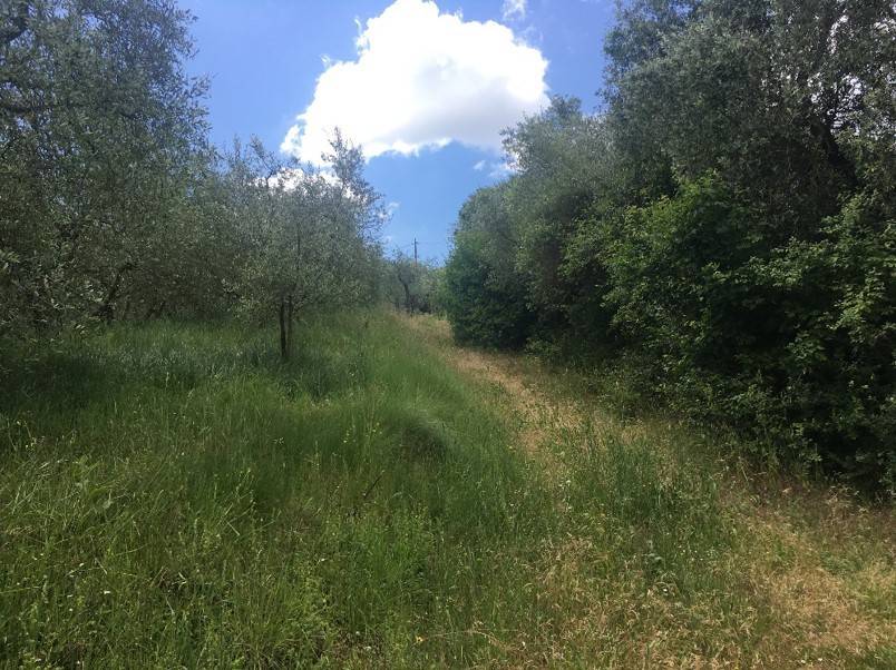 Terreno a Piegaro in Vocabolo Arcisa - Foto 2