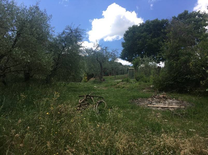 Terreno a Piegaro in Vocabolo Arcisa - Foto 4