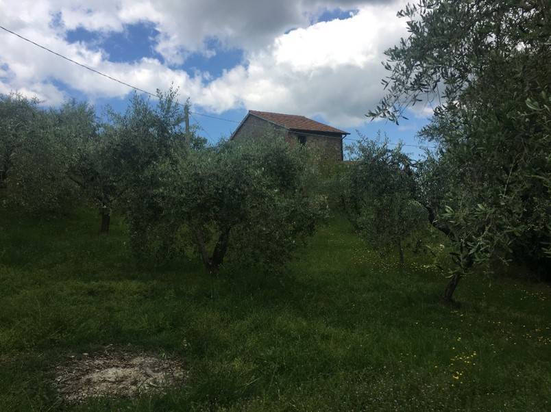 Terreno a Piegaro in Vocabolo Arcisa - Foto 5