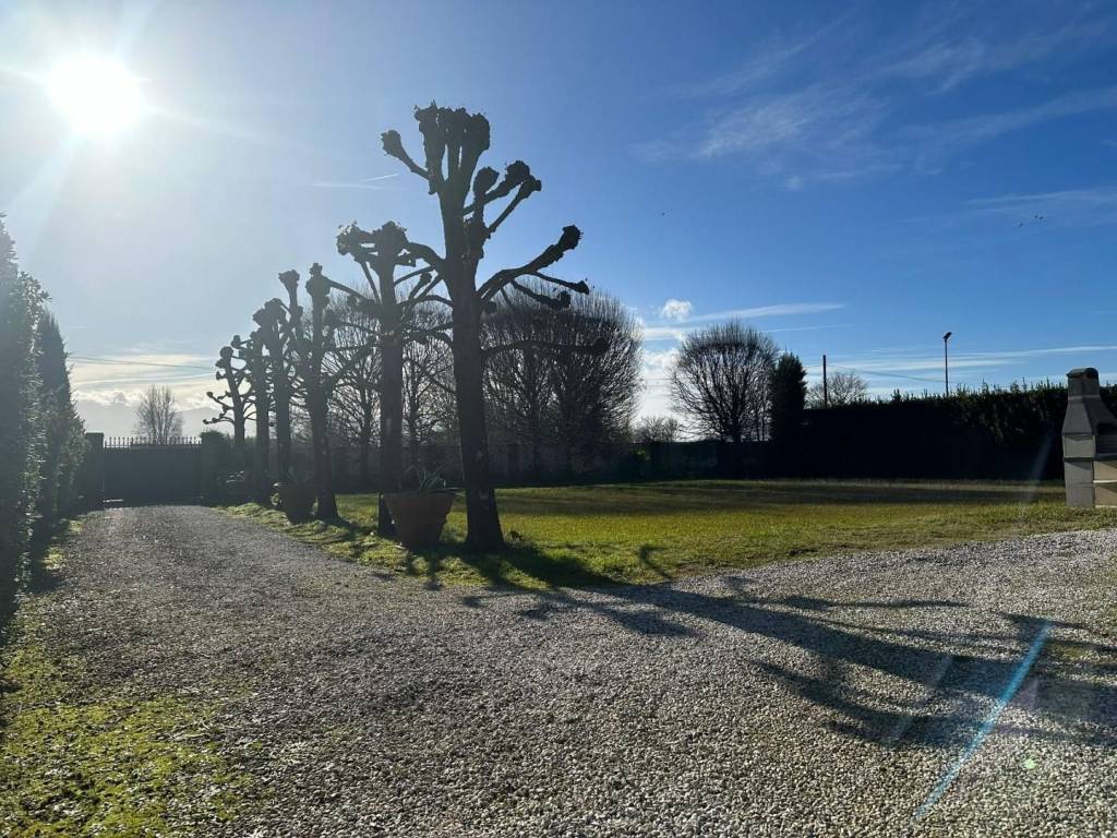 Villa a Capannori - Foto 4