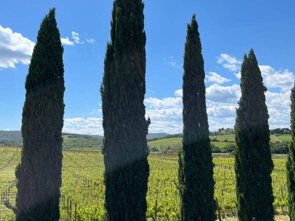Immobile a Montalcino in Montalcino - Foto 2