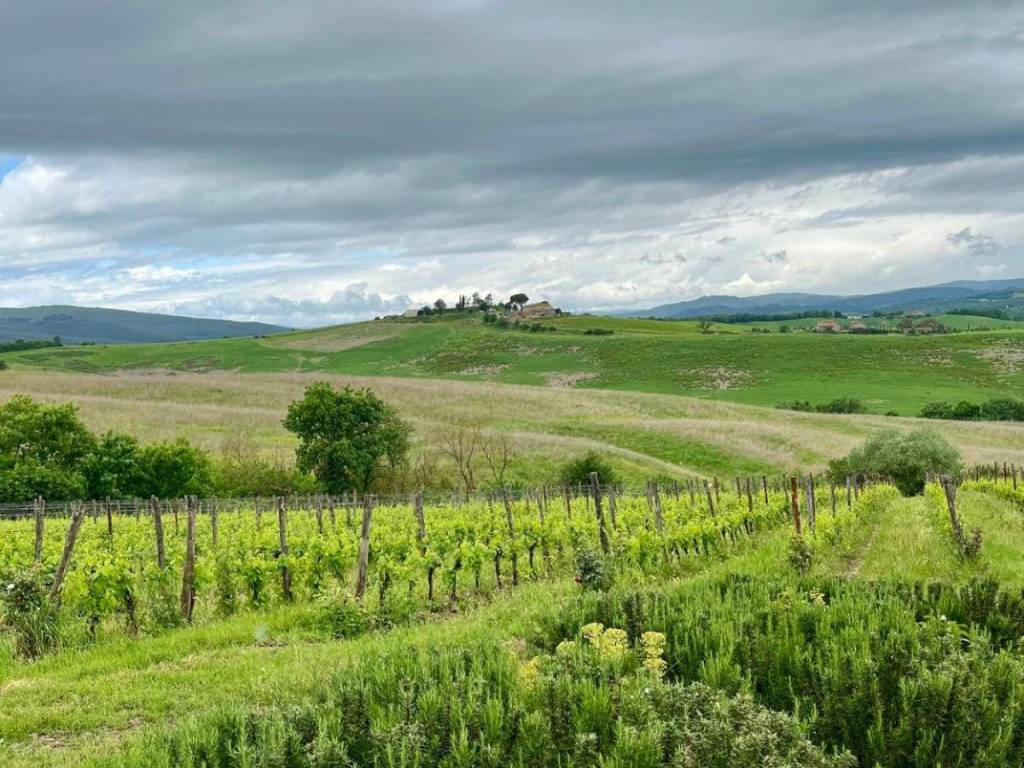 Immobile a Montalcino in Montalcino - Foto 4